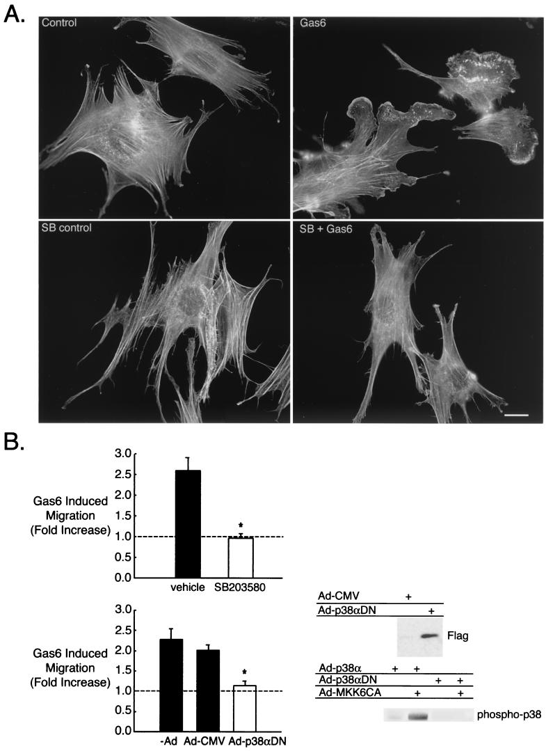 FIG. 7.