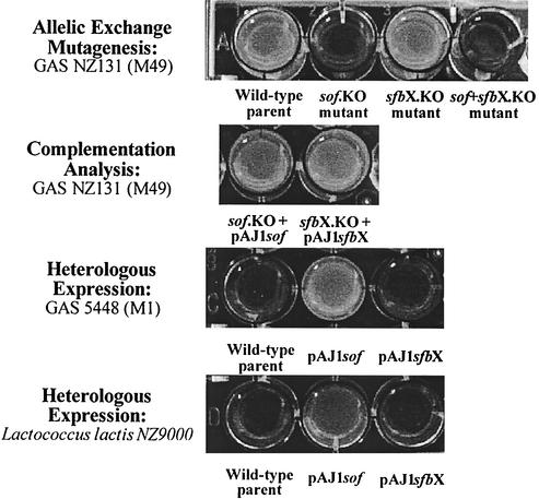 FIG. 4.