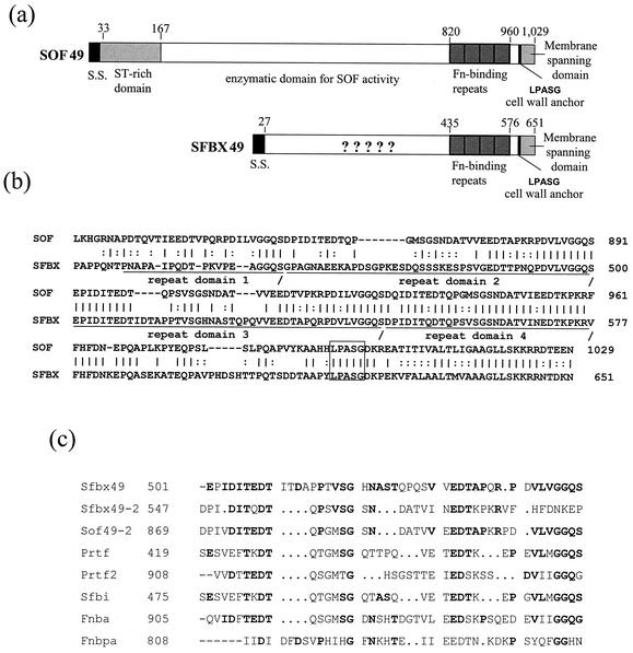 FIG. 3.