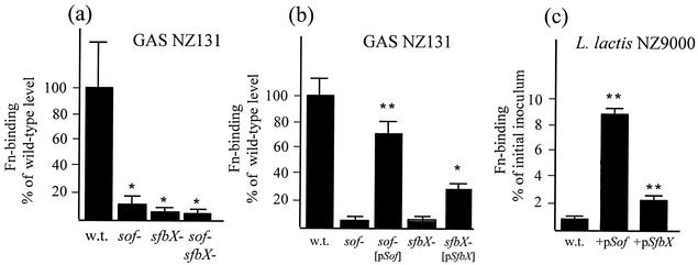 FIG. 5.