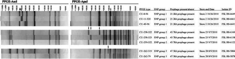 FIG 3