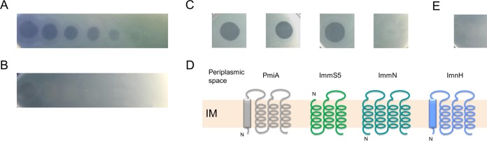 FIG 3 