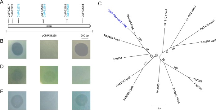 FIG 4 