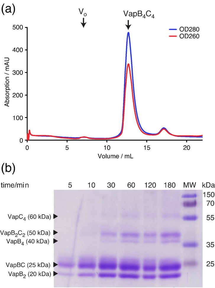 Fig. 3