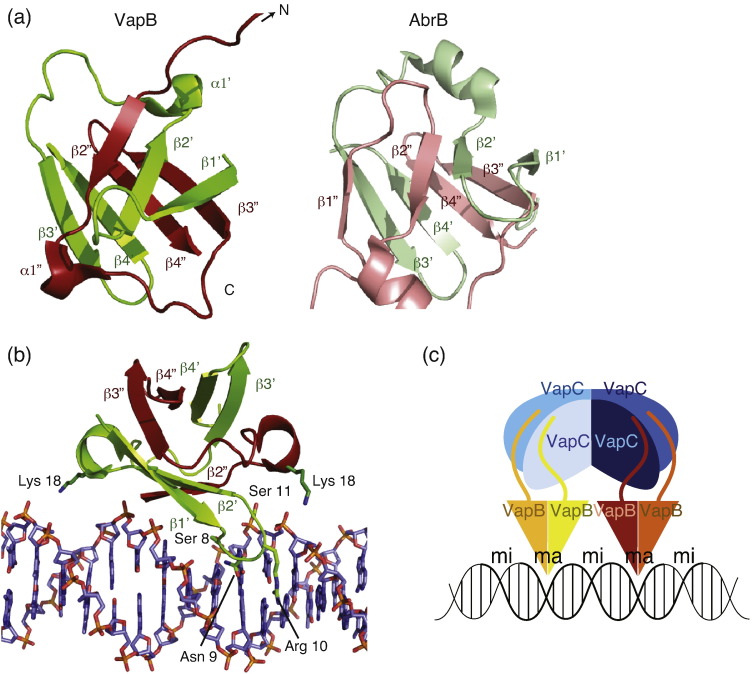 Fig. 4