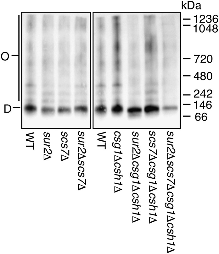 Fig. 8.