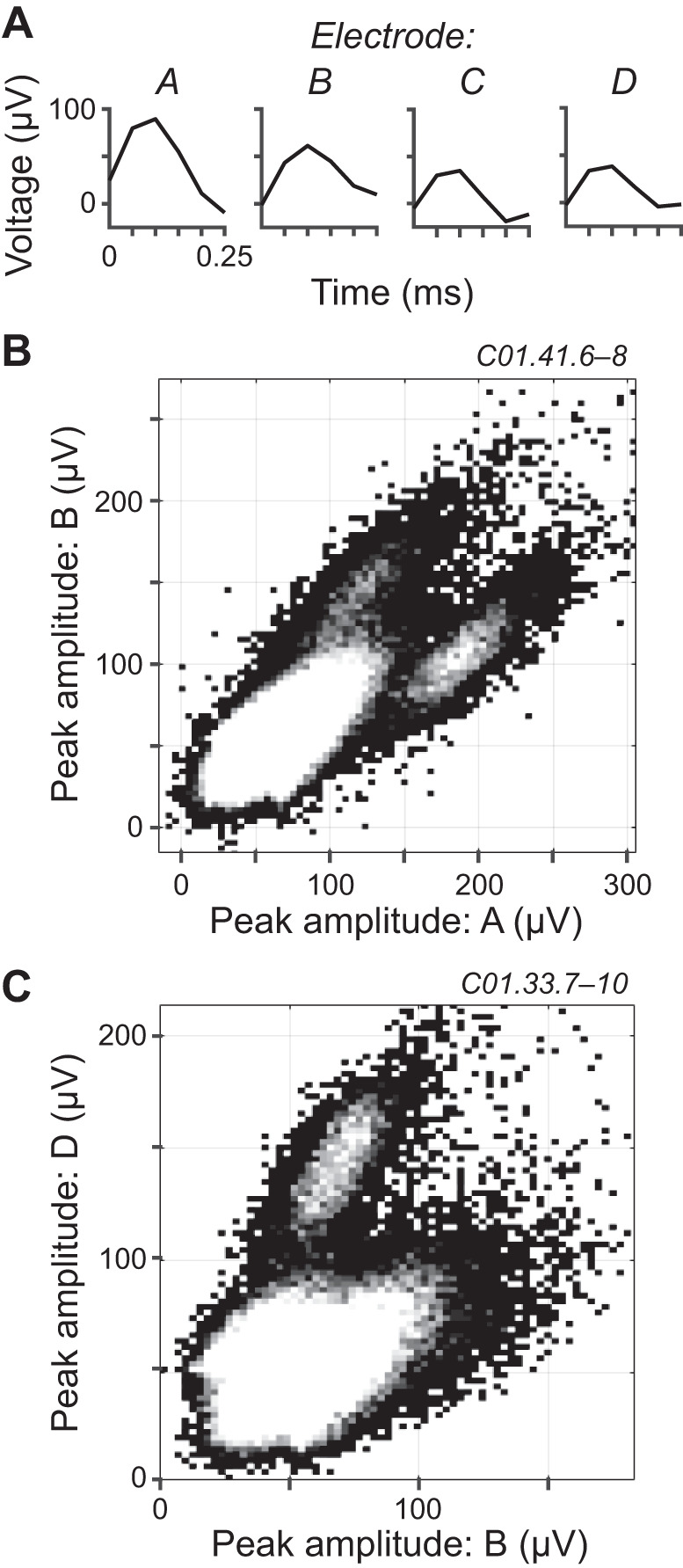 Fig. 1.