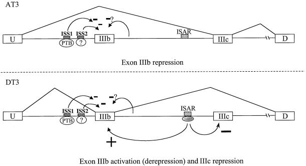 FIG. 7