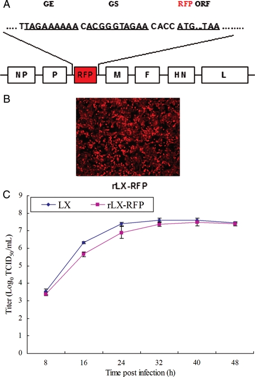 Fig. 1.