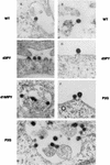 FIG. 8