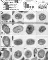 FIG. 6.