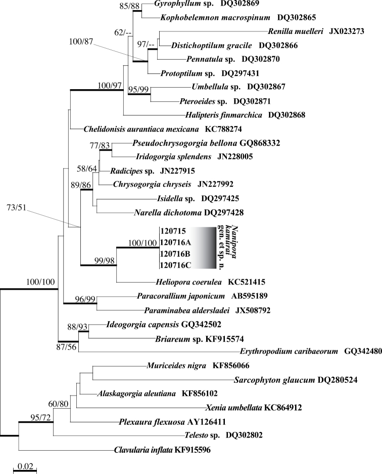 Figure 12.