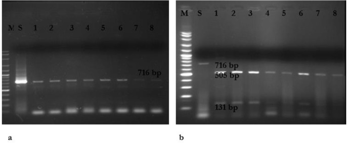 Fig. 1: