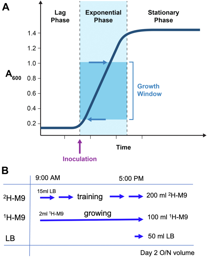 Figure 1