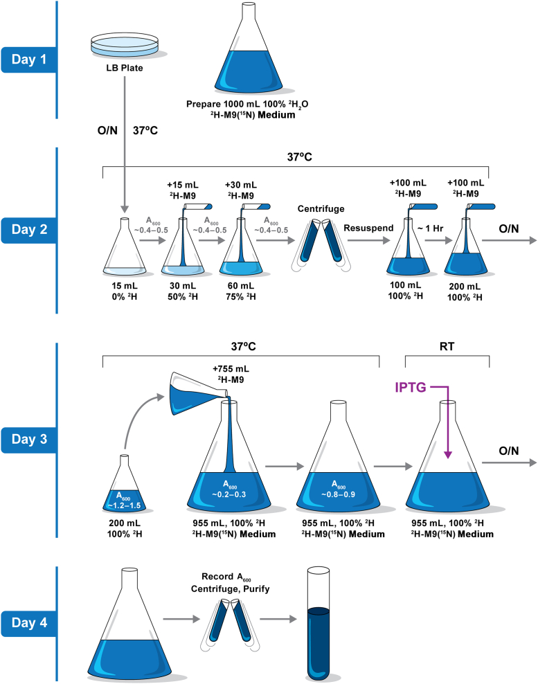 Figure 2