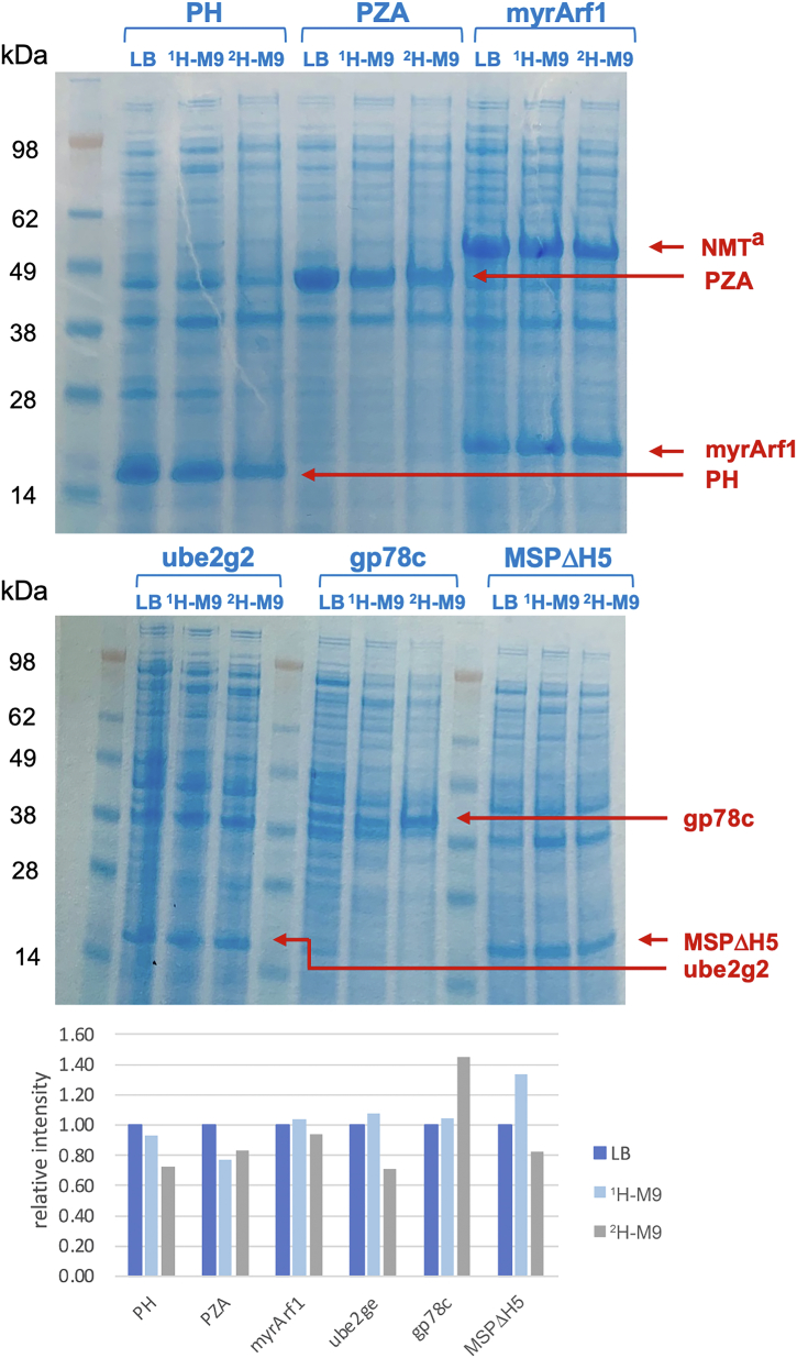 Figure 3