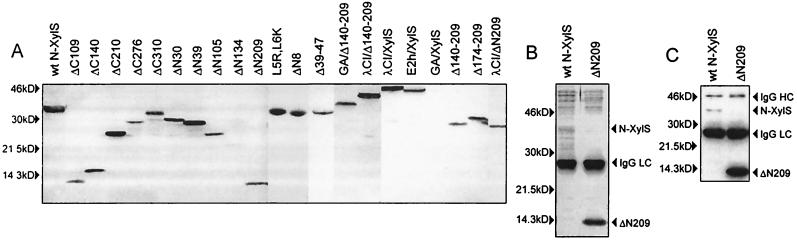 FIG. 2