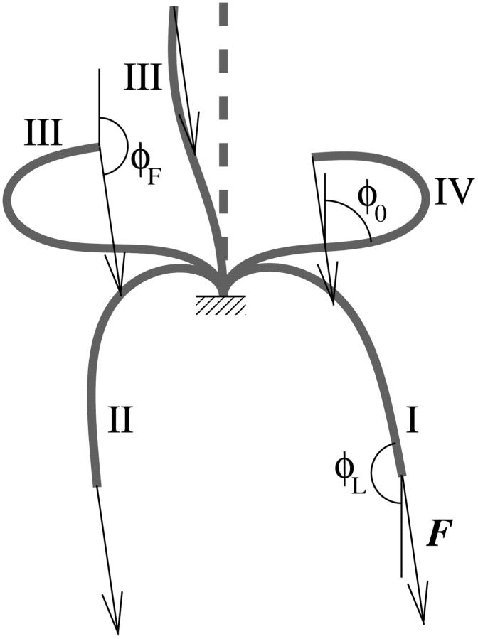 FIGURE 15