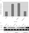 FIG. 3.