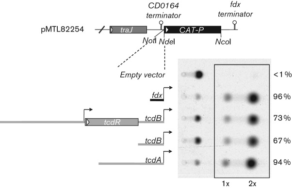 Fig. 1. 