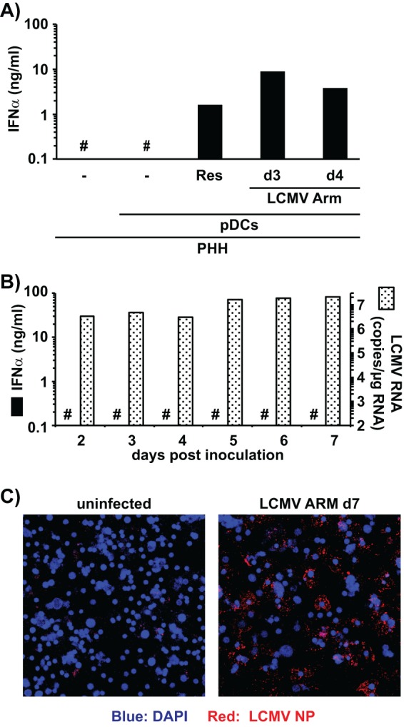 FIG 4