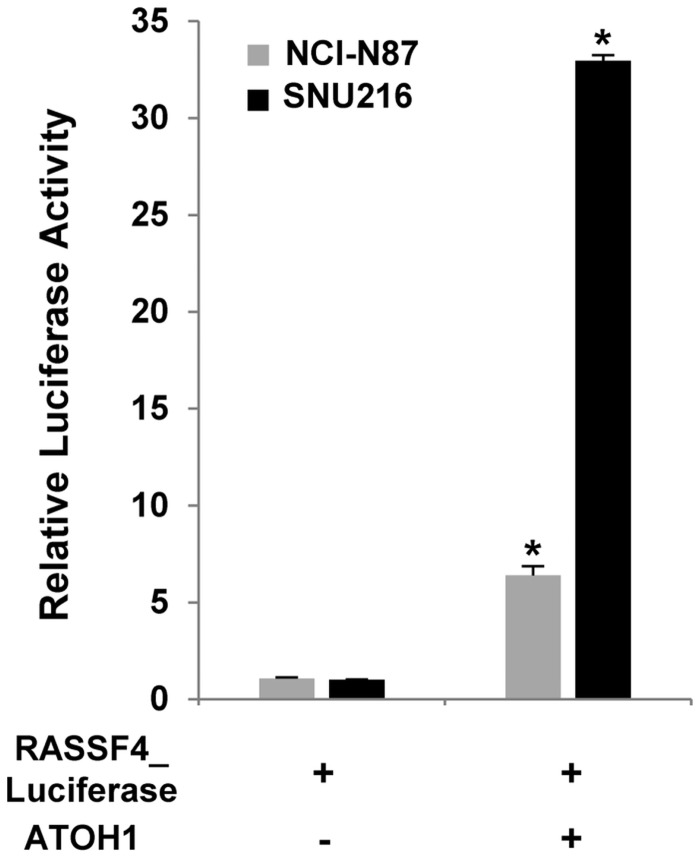 Fig 5