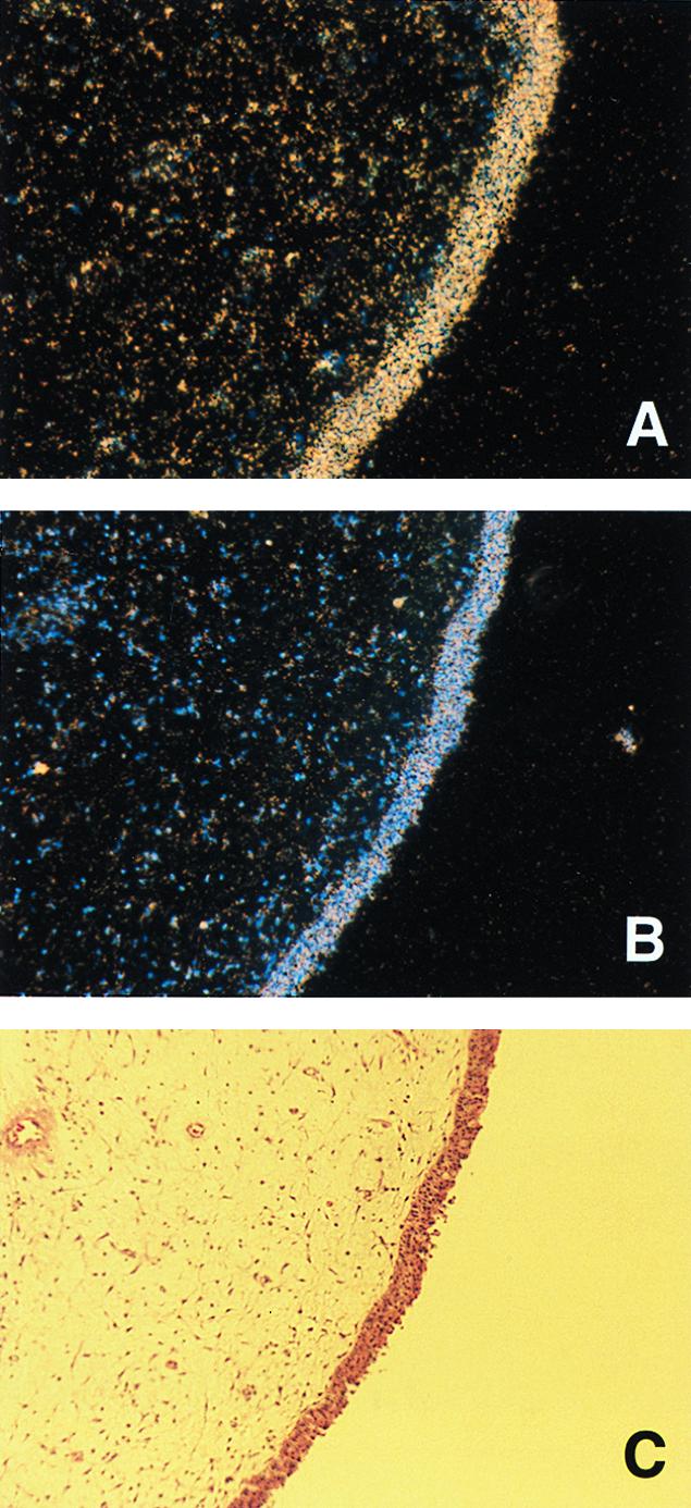 FIG. 6