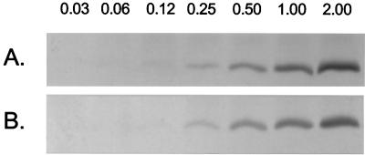 FIG. 5