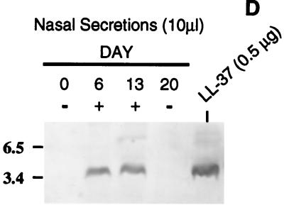 FIG. 6