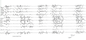 Fig 7