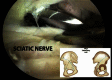 Fig 8