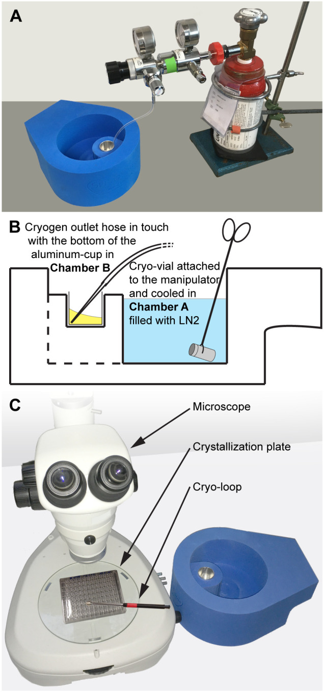 Fig 2