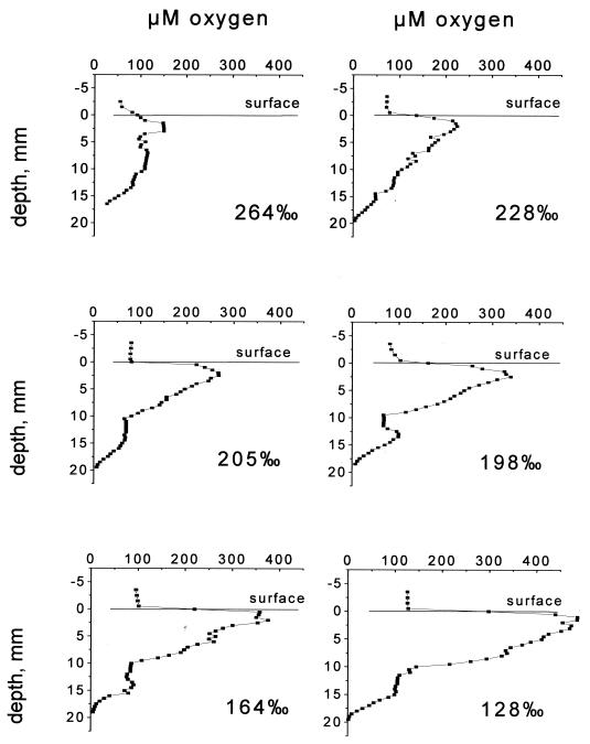 FIG. 4.