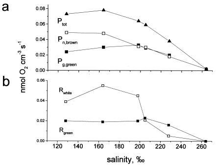 FIG. 5.