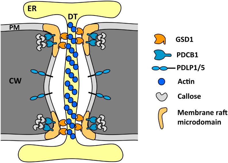 Figure 10.