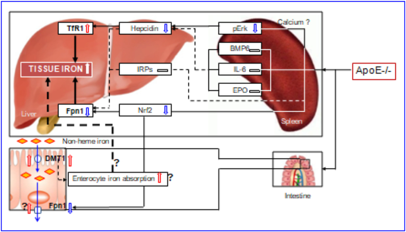 Fig. 7