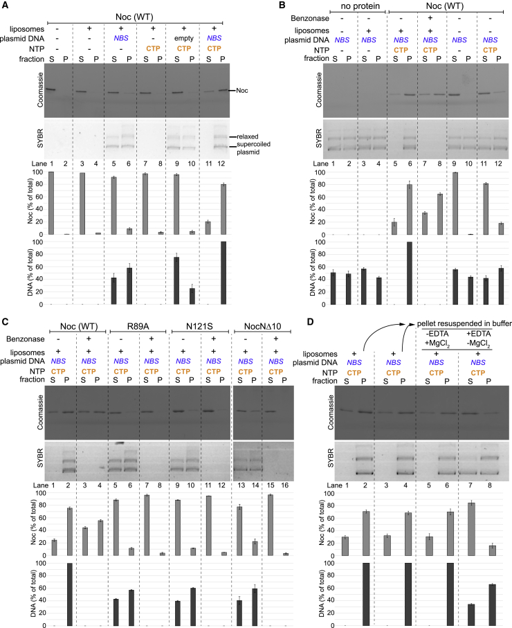 Figure 4