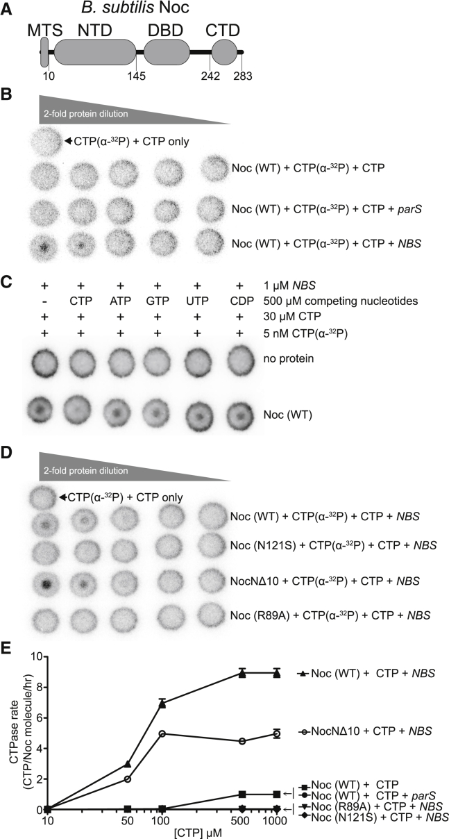 Figure 1