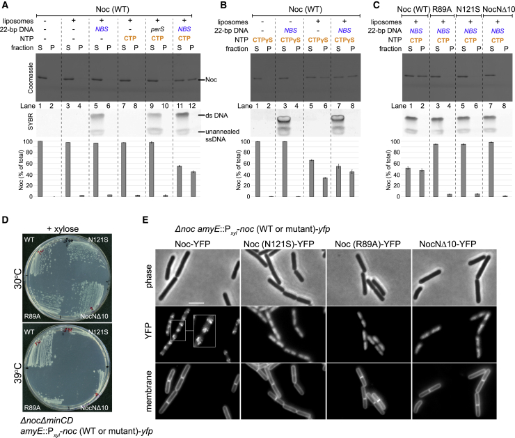 Figure 3