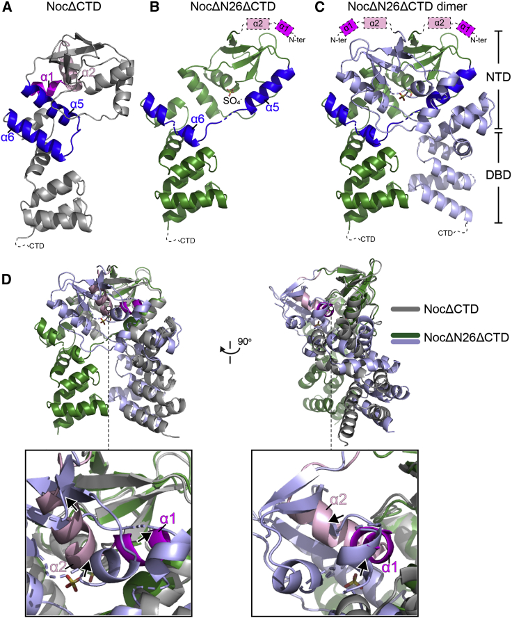 Figure 6