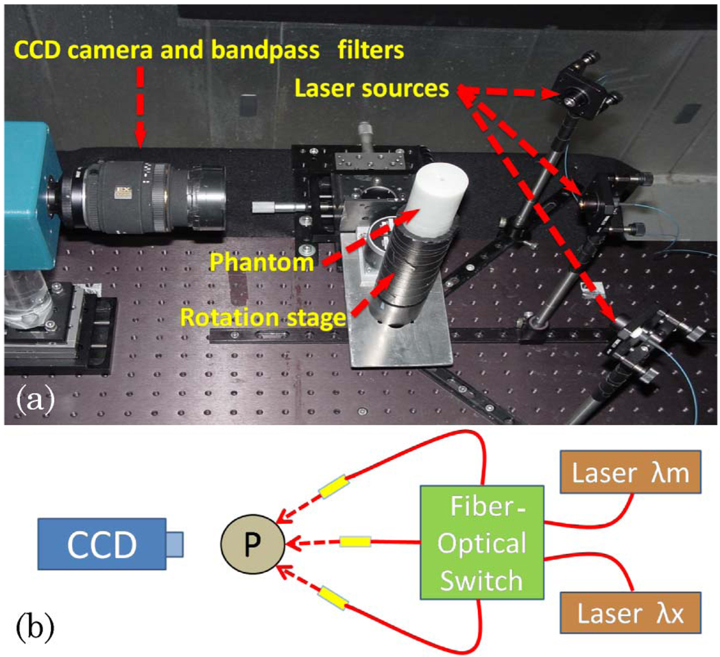 Fig. 1