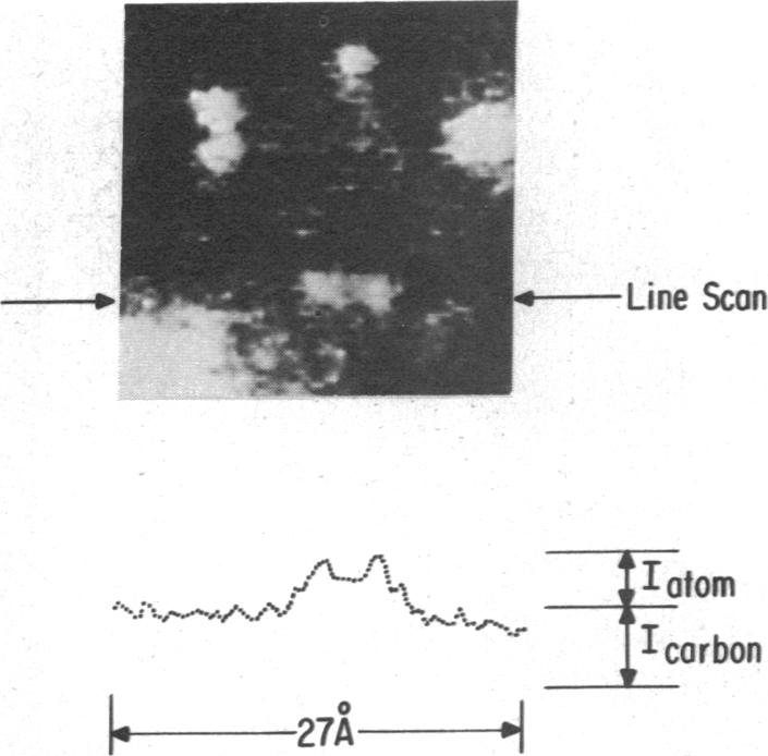 graphic file with name pnas00054-0010-a.jpg