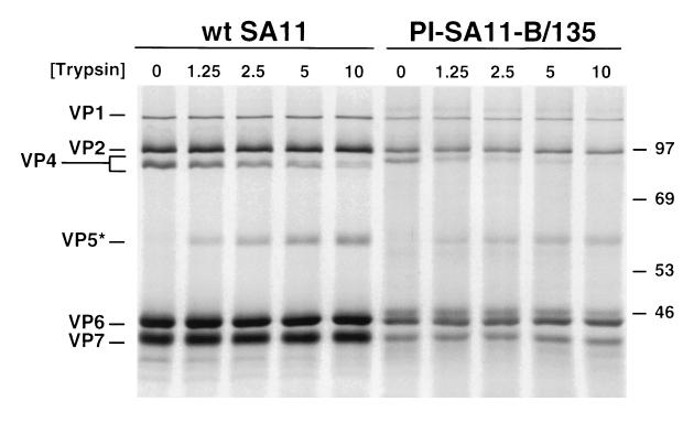 FIG. 6