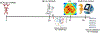 Fig 1.
