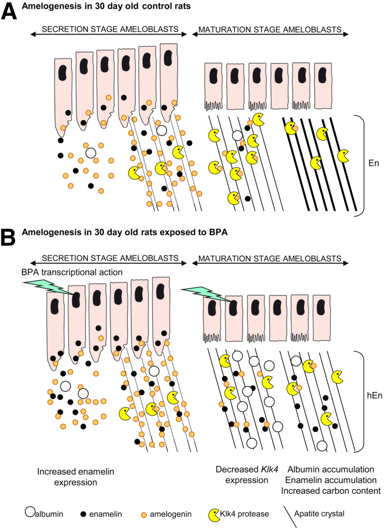 Figure 6