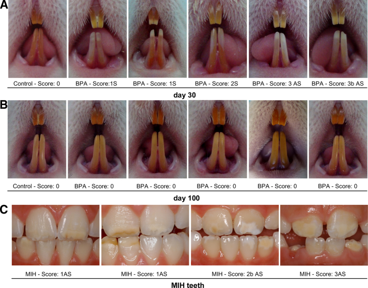 Figure 1