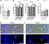 FIG 3