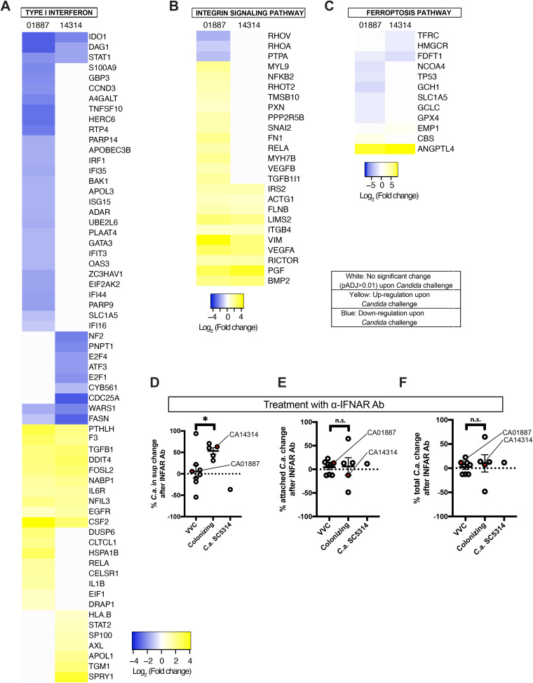 FIG 6