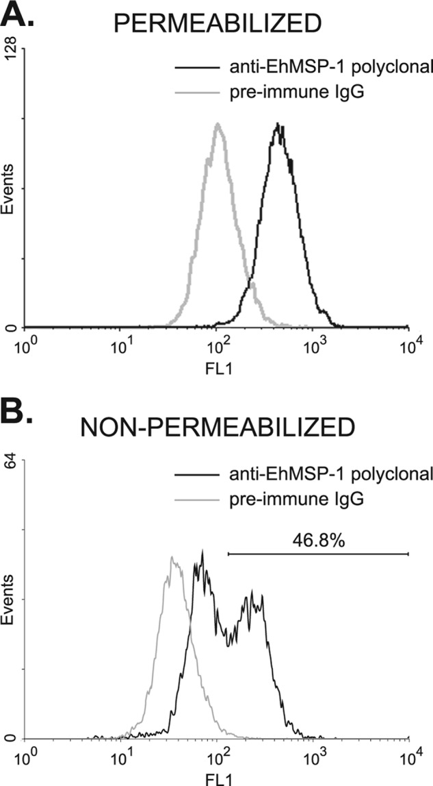 Fig 8