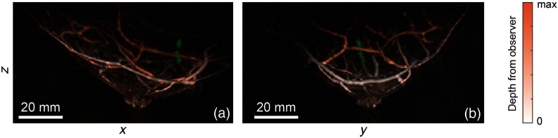 Fig. 9